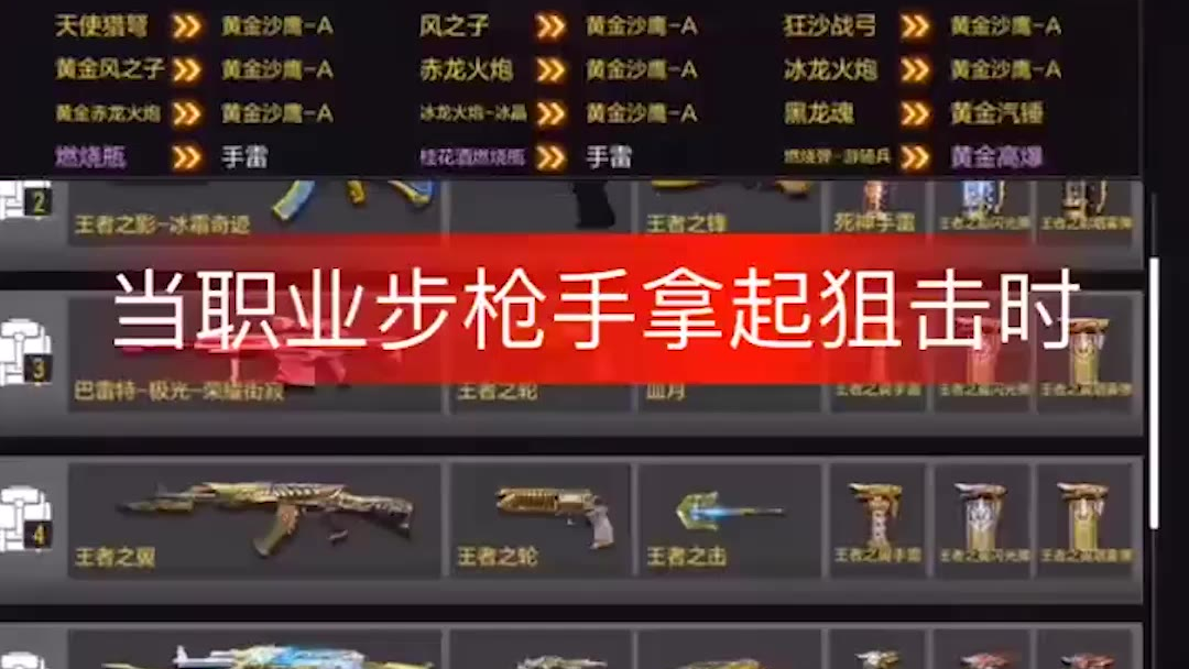 当职业步枪手拿起狙击时